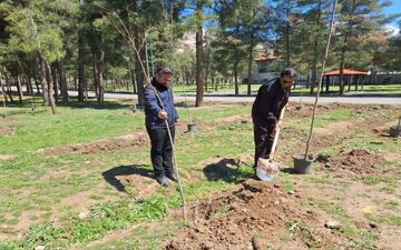 کاشت ۲۰۰ اصله نهال‌ در مجموعه پارک شرقی طاق‌بستان

