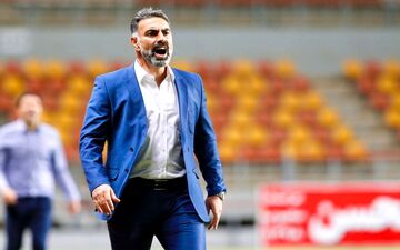 رسمی: فکری سرمربی هوادار تهران شد