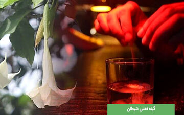اقدام بی‌شرمانه دختر و پسر مشهدی با پدر پیر خود/ خواهر و برادر بی‌وجدان، خود را به شیطان سپرده‌اند!