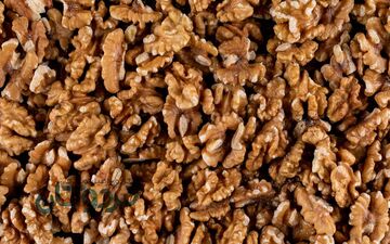 این مغز خوشمزه‌ باعث تقویت مغز انسان می‌شود