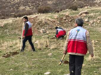 گزارش تصویری کاشت بذر بلوط در دامنه زاگرس توسط سمن های مردم نهاد و موسسه خیریه مهرگان 
