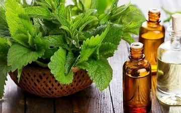  این افراد عرق نعنا مصرف نکنند