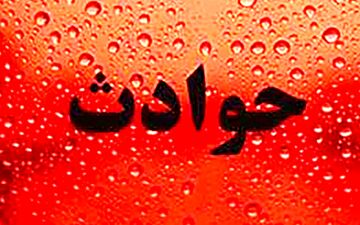 چک مرد مُرده، اسرار باند سرقت را فاش کرد!