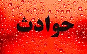 چک مرد مُرده، اسرار باند سرقت را فاش کرد!