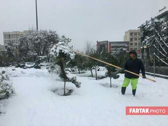 برف در تهران