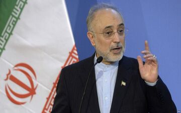 ساخت رآکتور اراک را ادامه ندهند خودمان پیش می‌بریم