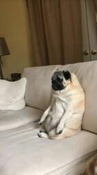 i-am-a-photographer-tiktok-trend-funny-65323821af95b700-654480a4ac3634182f48987f