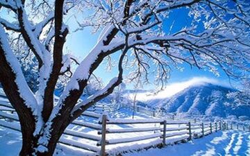 خوراکی های مناسب فصل زمستان کدامند؟ 