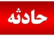 نجات چوپان مجروح از چنگال خرس در ارتفاعات کجور