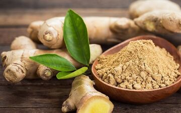 
گیاهی مفیدتر از هر داروی مسکن 