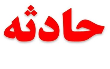 این خانم دزد در تهران جولان می داد! + جزییات