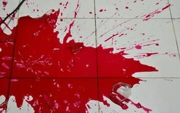قتل هولناک دختر جوان در شاهرود؛ کارد به دست برادرش!