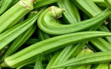 گیاهی شفابخش برای دیابتی‌ها