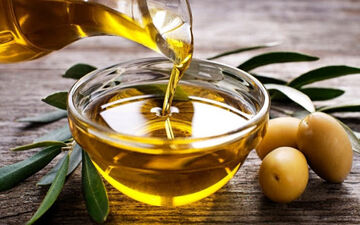 راز جوانی مغز در انتخاب نوع صحیح روغن زیتون