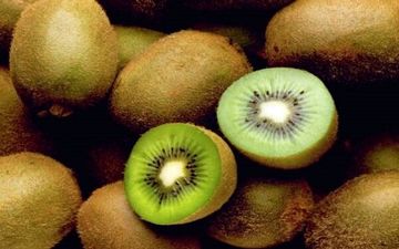 با این میوه پاییزی یبوست را به سادگی برطرف کنید