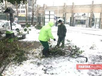 برف در تهران
