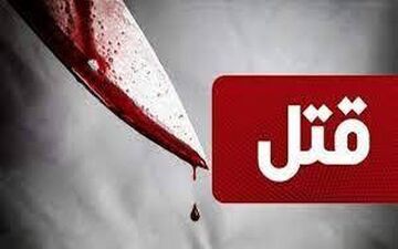 چه حکمی برای دختر بچه قاتل صادر شد ؟

