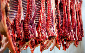 قیمت جدید گوشت گوسفندی / سردست گوسفندی کیلویی ۳۹۰ هزار تومان شد