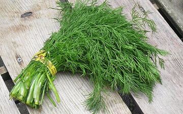  با خواص شوید برای لاغری آشنا شویم!