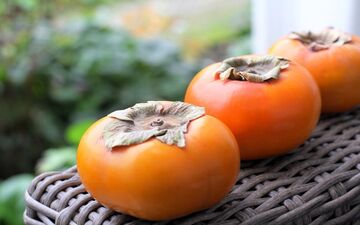 خطر خرمالو برای افراد دارای اضافه وزن