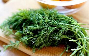 این سبزی برای دیابتی‌ها معجزه میکنه!