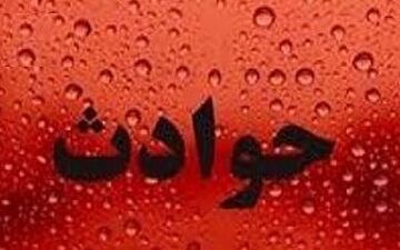 ادعای دختر دانشجو در رابطه با نقشه ای که پیرمرد برایش کشیده است