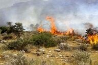 مهار آتش‌سوزی در منطقه حفاظت‌شده دیل