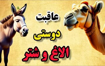 حکایت دوستی الاغ و شتر | حکایت جذاب هر سخن جایی و هر نکته مکانی دارد!