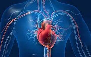 علائم اولیه یکی از علل اصلی نارسایی قلبی 