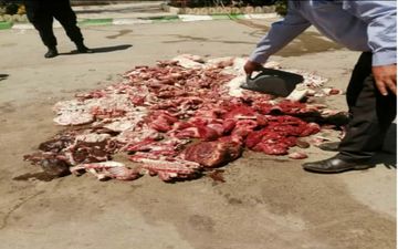 جمع آوری و امحاء بیش از 650 کیلو گرم گوشت کشتار غیرمجاز  شهرستان کرمانشاه