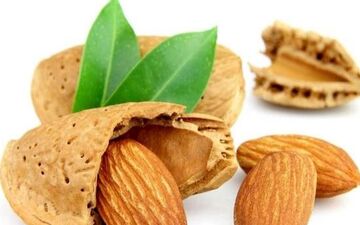 بدون بادام زندگی ممنوع!

