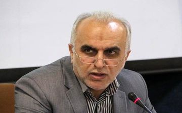 وزیر اقتصاد: تلاش می‌کنیم رشد اقتصادی منفی نشود