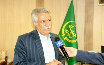 ‍ پیش بینی کاشت بیش از 40 هکتار زعفران در اراضی کشاورزی شهرستان کرمانشاه