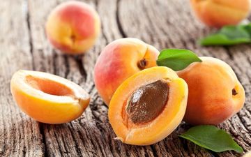 خوردن هسته‌ زردآلو بی‌خطر است؟ .