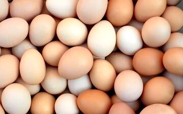 با مصرف تخم مرغ به جنگ آلزایمر بروید