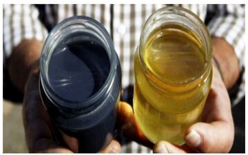 زنبورهایی که عسل آبی رنگ تولید میکنند