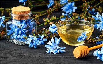 گیاهی فوق‌العاده برای پاکسازی کبد

