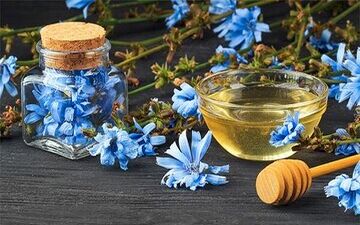 گیاهی فوق‌العاده برای پاکسازی کبد

