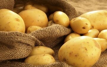  قیمت سیب‌زمینی تا ۷ روز آینده کاهش می‌یابد