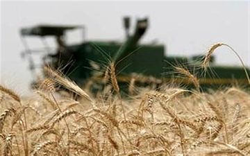 خرید قیمت تضمینی محصولات کشاورزی تداوم دارد