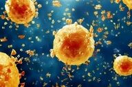 هشدار وزارت بهداشت درباره بازگشت آنفلوآنزا پس از دو هفته آرامش