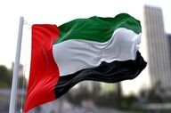 ادعای یک رسانه غربی درباره ورود هواپیمای اماراتی به تهران 