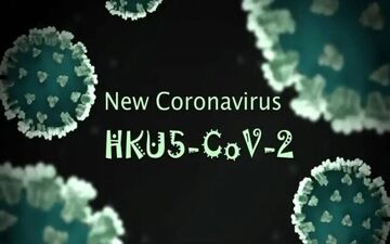 کرونا ویروس HKU5-CoV2؛ یک قدم تا اپیدمی جدید؟ نقش خفاش‌ها چیست؟