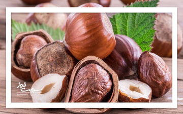 مقایسه فندق و بادام‌زمینی برای کاهش کلسترول