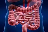 نشت پذیری روده یعنی چه؟