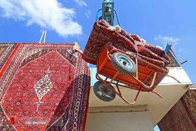 قالیشویی در همدان + تصاویر