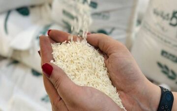 قیمت برنج رکورد تاریخی را زد + جزئیات 