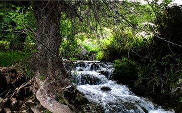  جاذبه های گردشگری کهگیلویه و بویراحمد؛ از غار ده شیخ تا رود رونه
