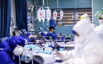 روند ابتلا به کرونا در استان بوشهر رو به بهبود است
