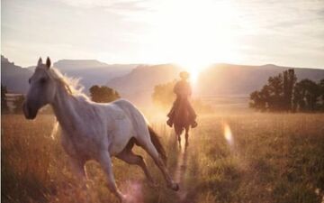  عکس منتخب نشنال جئوگرافیک | طلوع در مزرعه